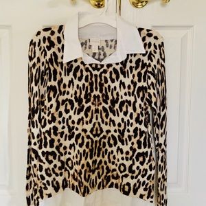 Leopard Print Sweater/Blouse